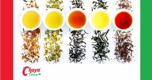 Chaya Time franchise photo 3