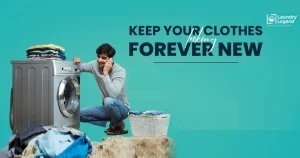 Laundry Legend franchise photo 2