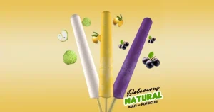 Krisha Natural Ice Cream franchise photo 3