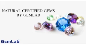 Gemlab franchise photo 2