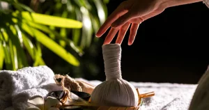 Prevekta Ayurveda franchise photo 2