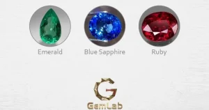 Gemlab franchise photo 3