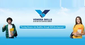 Vemosa Skills franchise photo 3