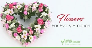 Ferns N Petals franchise photo 5