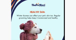 Thepetnest franchise photo 3