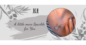 E I Silver franchise photo 4