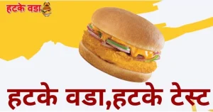Hatke Vada franchise photo 4