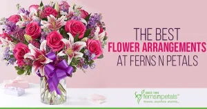Ferns N Petals franchise photo 2