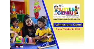 Little Genius Pre School franchise photo 2
