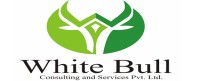 White Bull Consulting And Services