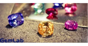 Gemlab franchise photo 4