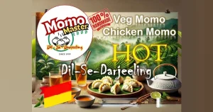 Momo Master franchise photo 2