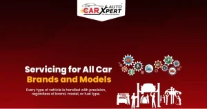 Car Auto Xpert franchise photo 5