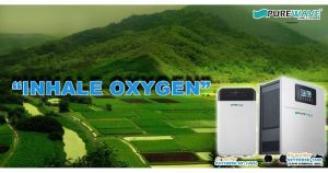 Purewave franchise photo 4