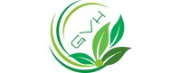 Green Vacation Holidays