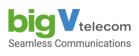 Big V Telecom