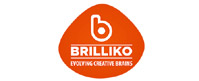 Brilliko Institute Of Multimedia