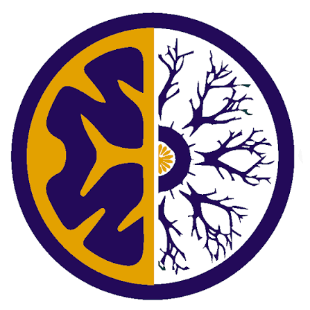 Mindseye Education