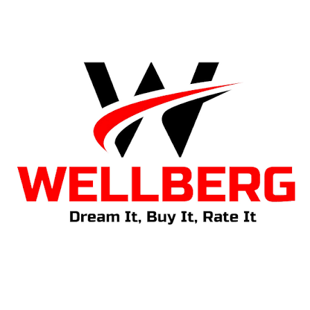 Wellberg Electric Tandoor