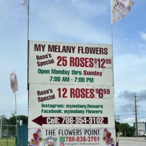 Flower Point franchise photo 5