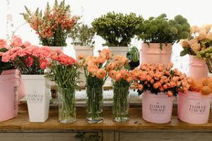 Floral Mall franchise photo 3