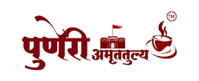 Puneri Amruttulya